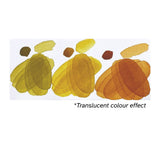 edu3 Watercolor Paints  12 ml x 12 colours